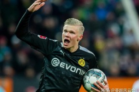 爱游戏娱乐 -里程碑夜阿贾克斯刷新队史纪录，欧篮联今晚刷纪录，压力陡增，资深球员宣示担当的简单介绍